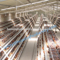 Best Selling and good price chicken layer cage manufacturer